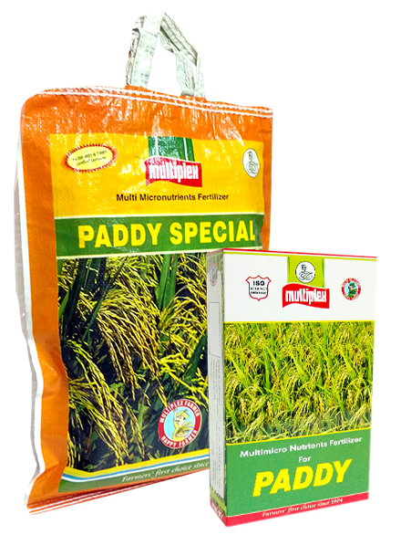 uploads/images/prod/Paddy Special Bag.png